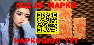 a pvp Моздок