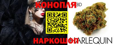 a pvp Моздок
