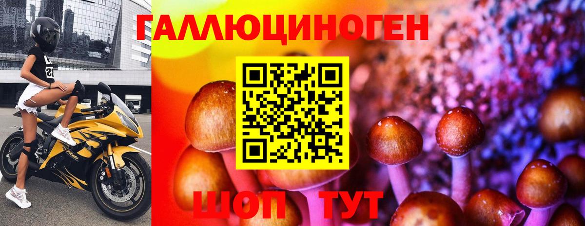 Галлюциногенные грибы мухоморы  Вход с VPN  Севастополь 